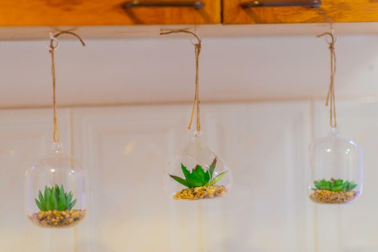 브라쇼브 Pine House 아파트 외부 사진
